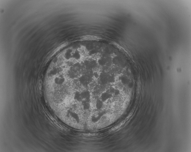 X0000084001401200703161636