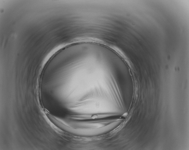 X0000084001438200703161637