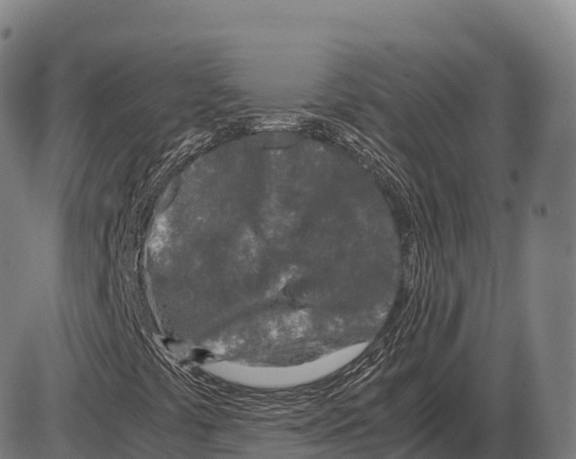 X0000084001441200703161636