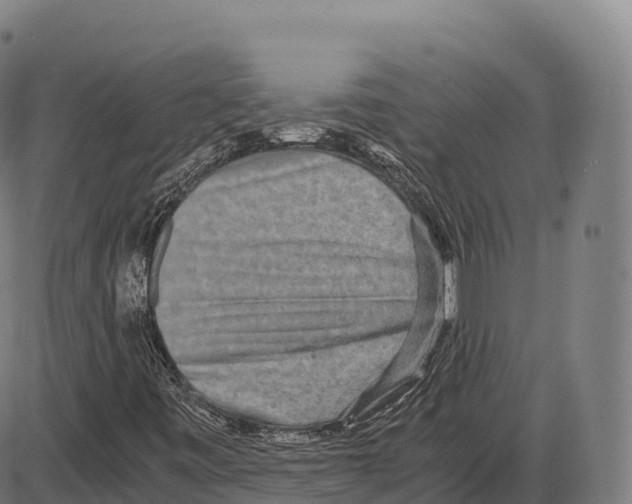 X0000084001443200703161636