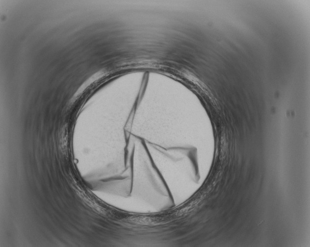 X0000084001450200703161636
