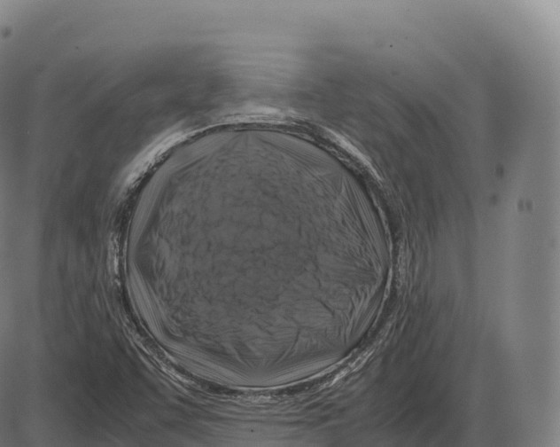 X0000084001455200703161636
