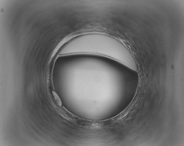 X0000084010056200702160835