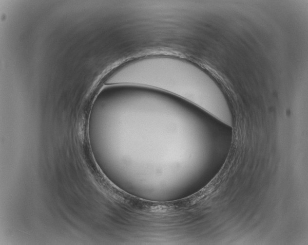 X0000084010064200702160835