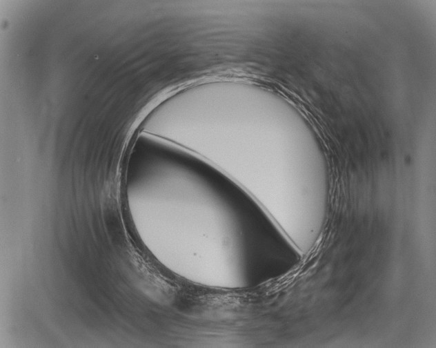 X0000084010100200702160835