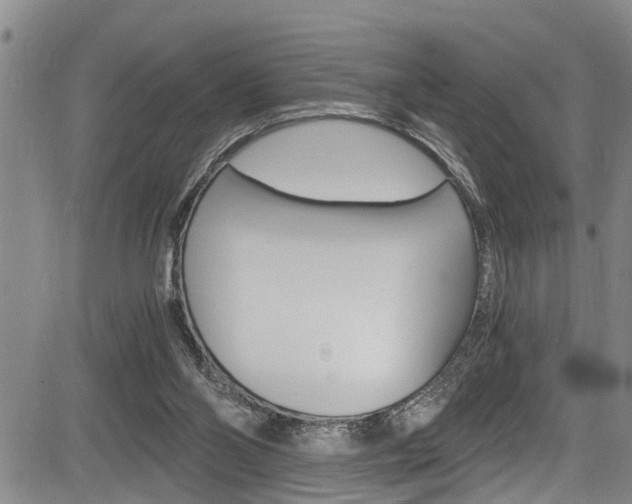 X0000084010110200702160835