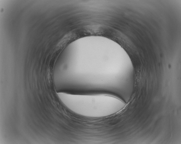 X0000084010132200702160834