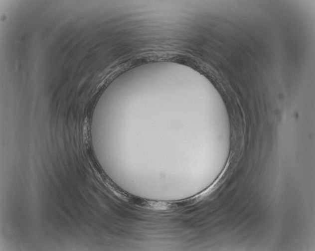 X0000084010144200702160834