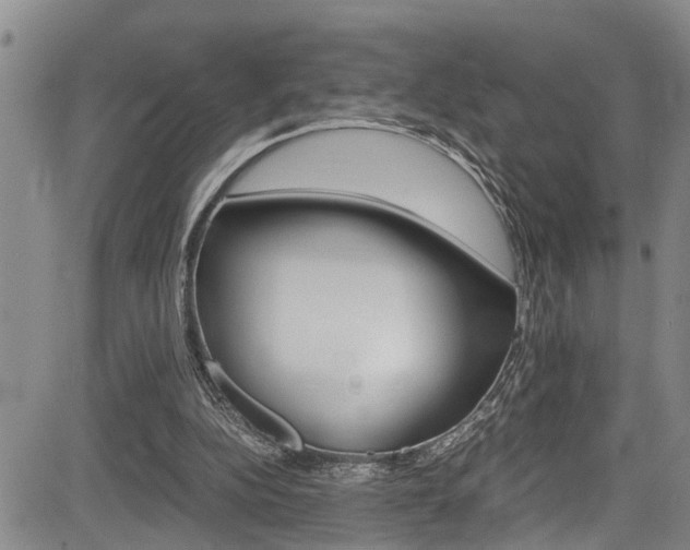X0000084010152200702160833
