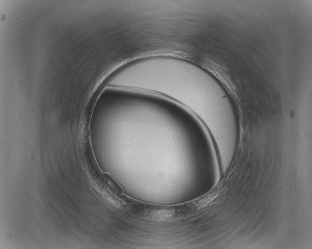 X0000084010156200702160833