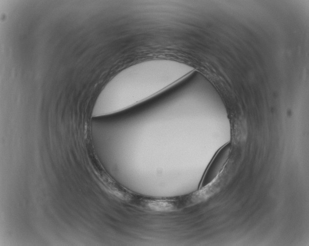 X0000084010183200702160834