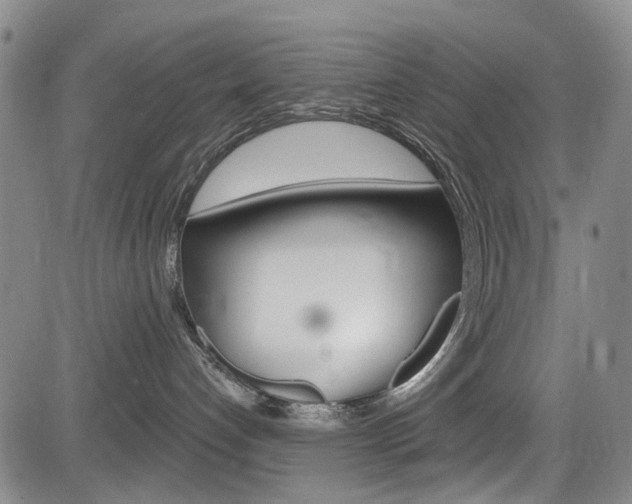 X0000084010192200702160834