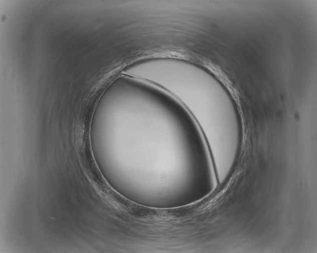 X0000084010201200702160833