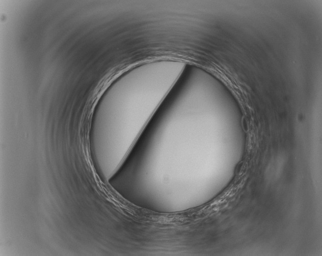X0000084010241200702160832