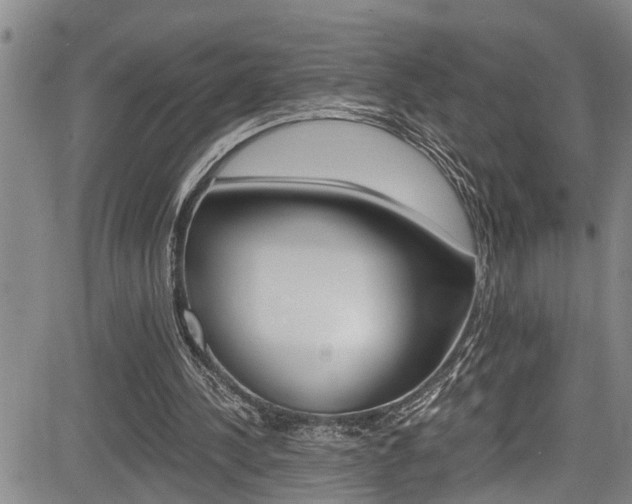 X0000084010244200702160832