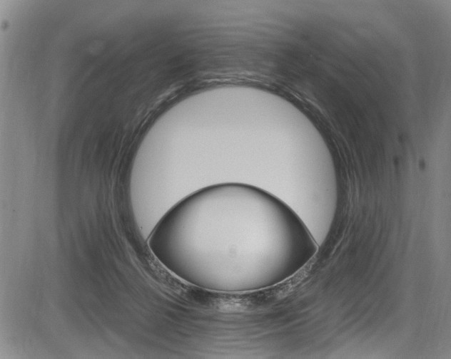 X0000084010264200702160832