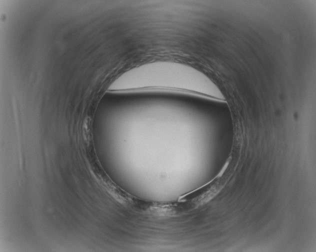 X0000084010280200702160832