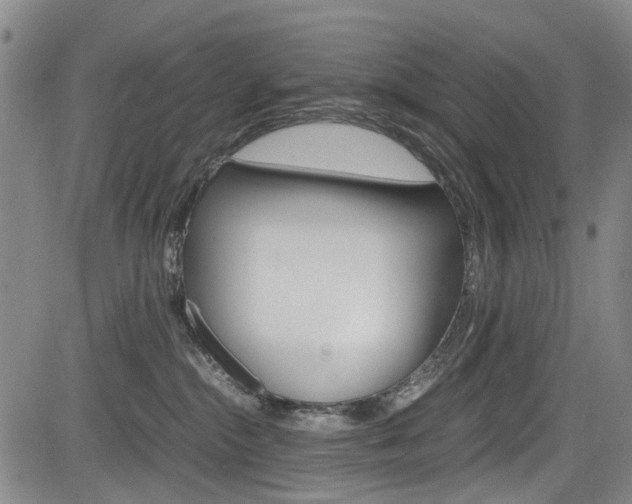 X0000084010284200702160832