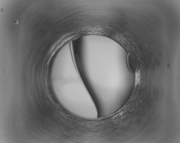 X0000084010291200702160832
