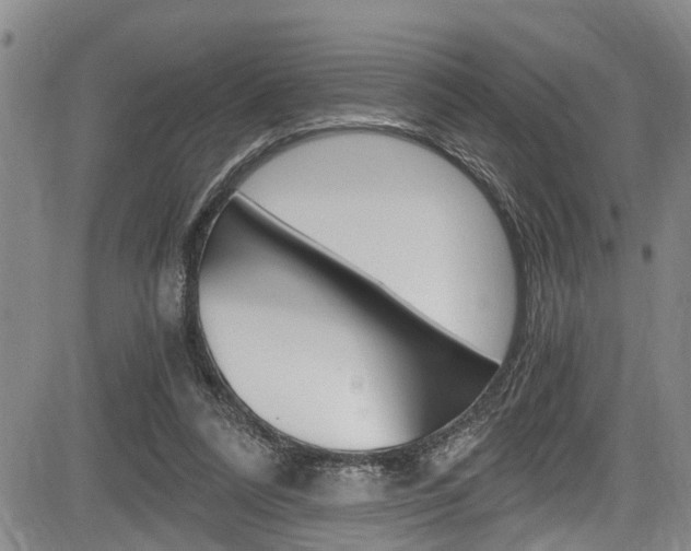 X0000084010304200702160831