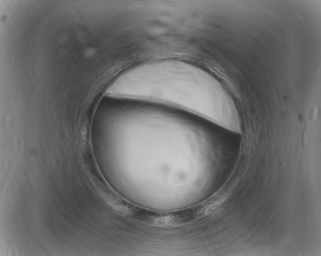 X0000084010309200702160831