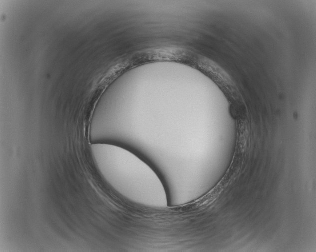 X0000084010310200702160831