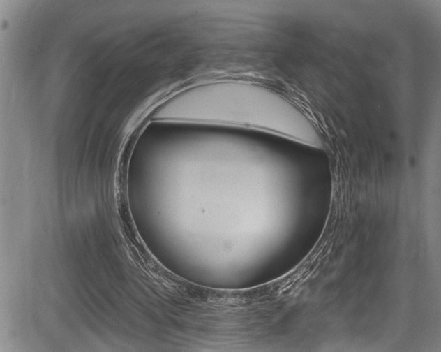 X0000084010340200702160830