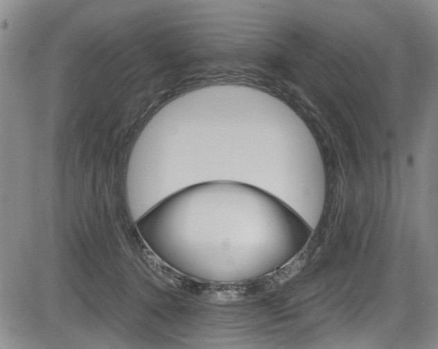 X0000084010368200702160831