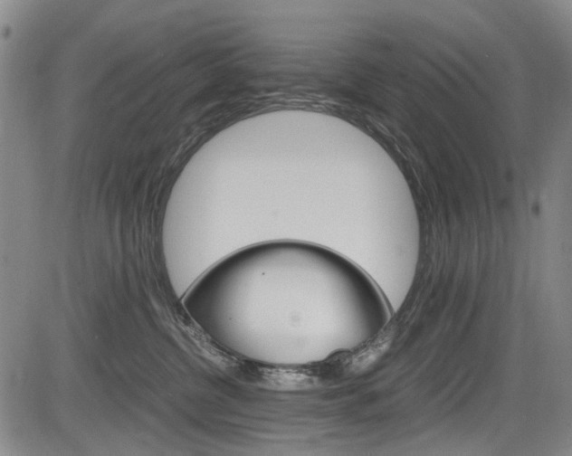 X0000084010380200702160831