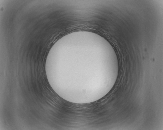 X0000084010384200702160831