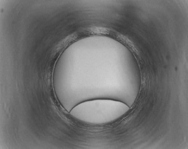 X0000084010402200702160830