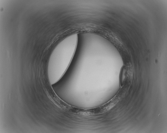 X0000084010408200702160830