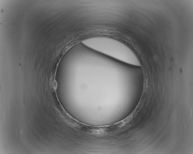 X0000084010411200702160830