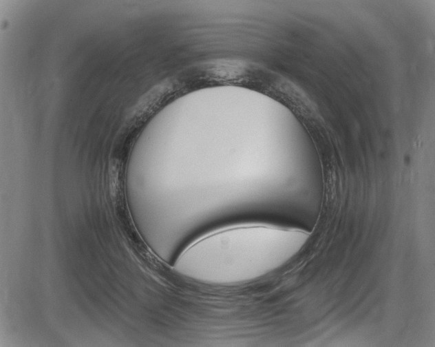 X0000084010412200702160830