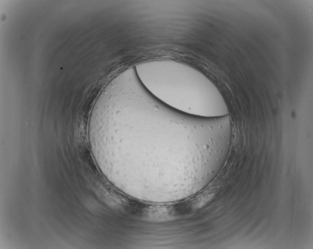 X0000084010418200702160830