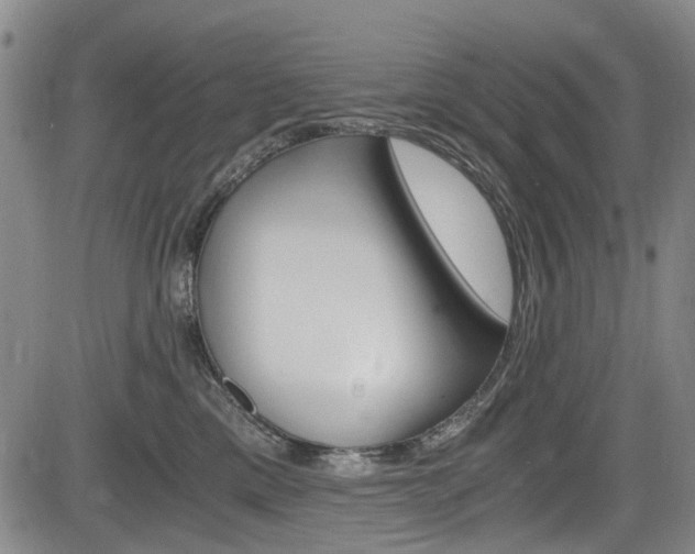 X0000084010425200702160830