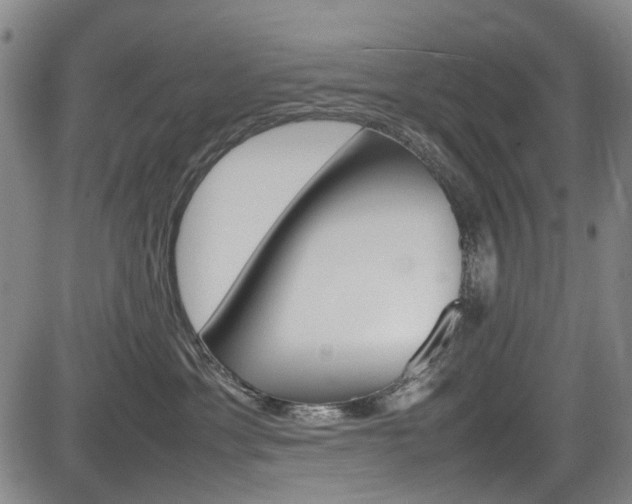 X0000084010429200702160829
