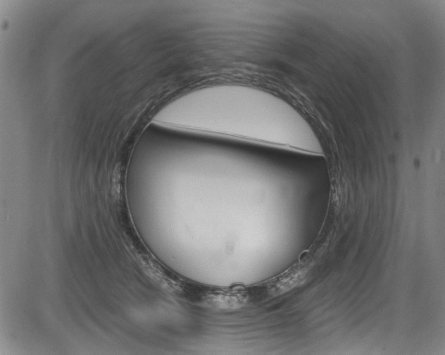 X0000084010466200702160829