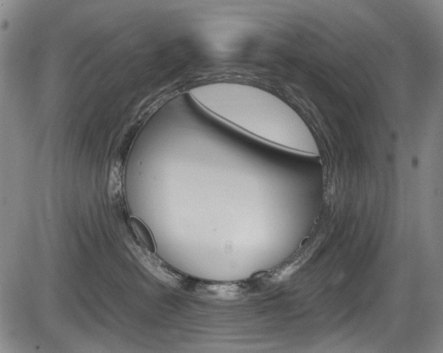 X0000084010478200702160829
