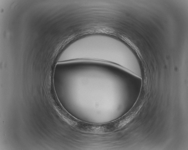 X0000084010493200702160828
