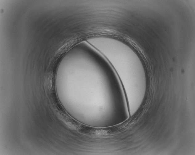 X0000084010501200702160828