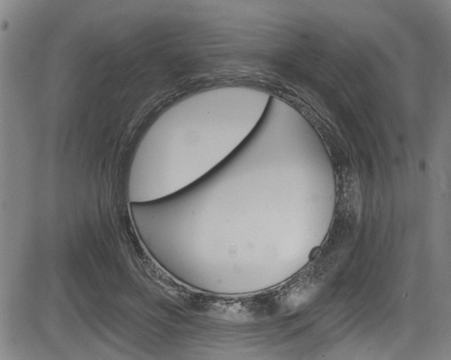 X0000084010502200702160828