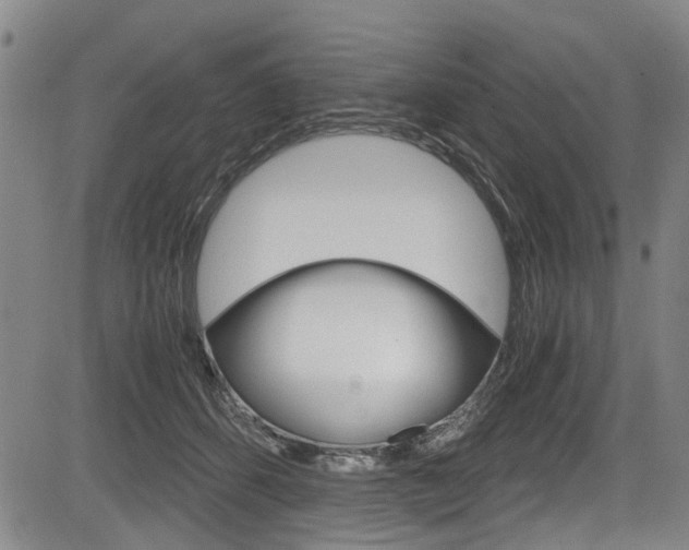 X0000084010512200702160828