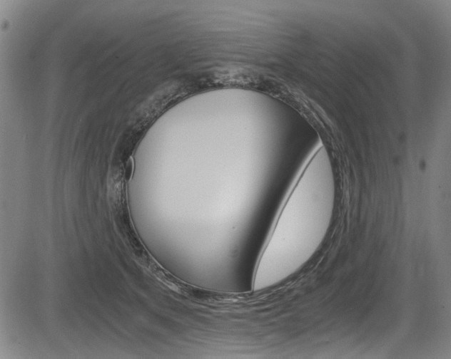 X0000084010513200702160828