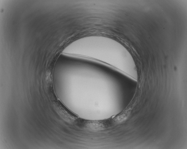 X0000084010521200702160828