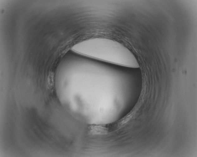 X0000084010528200702160828