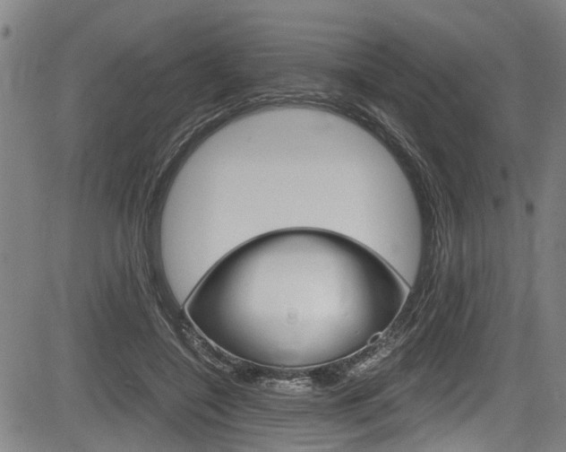 X0000084010548200702160827