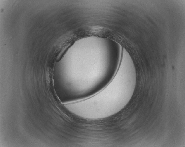 X0000084010562200702160828