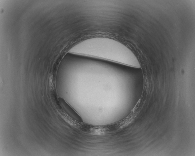 X0000084010564200702160828