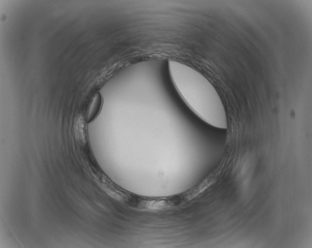 X0000084010575200702160828